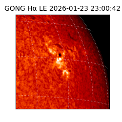 gong - 2026-01-23T23:00:42