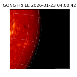 gong - 2026-01-23T04:00:42