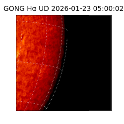 gong - 2026-01-23T05:00:02