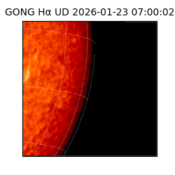 gong - 2026-01-23T07:00:02