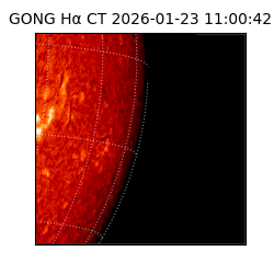gong - 2026-01-23T11:00:42