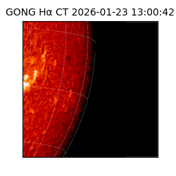 gong - 2026-01-23T13:00:42
