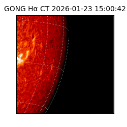 gong - 2026-01-23T15:00:42