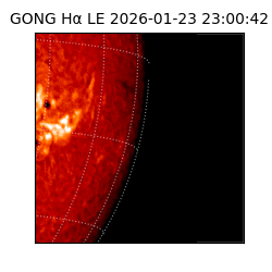 gong - 2026-01-23T23:00:42