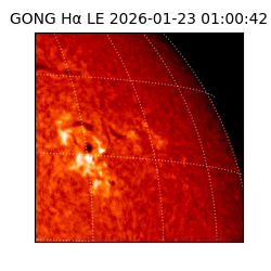 gong - 2026-01-23T01:00:42