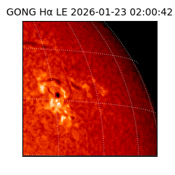 gong - 2026-01-23T02:00:42