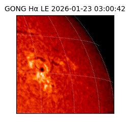gong - 2026-01-23T03:00:42