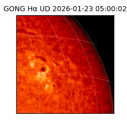 gong - 2026-01-23T05:00:02