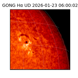 gong - 2026-01-23T06:00:02