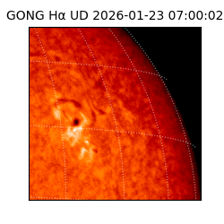 gong - 2026-01-23T07:00:02
