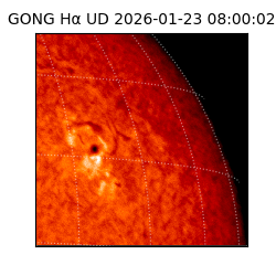 gong - 2026-01-23T08:00:02