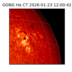 gong - 2026-01-23T12:00:42