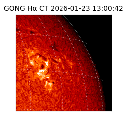 gong - 2026-01-23T13:00:42