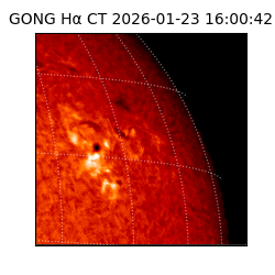 gong - 2026-01-23T16:00:42