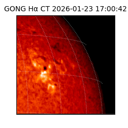 gong - 2026-01-23T17:00:42