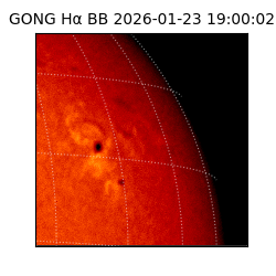 gong - 2026-01-23T19:00:02