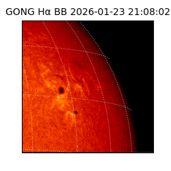 gong - 2026-01-23T21:08:02
