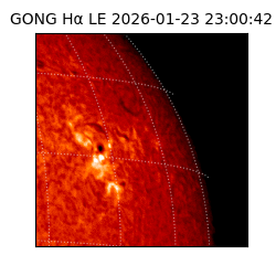 gong - 2026-01-23T23:00:42