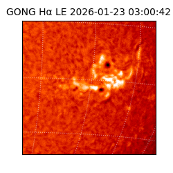 gong - 2026-01-23T03:00:42