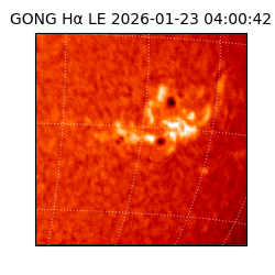 gong - 2026-01-23T04:00:42