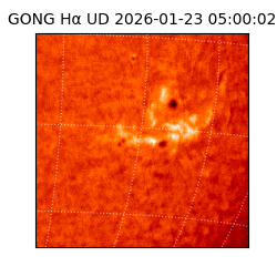 gong - 2026-01-23T05:00:02