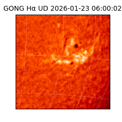 gong - 2026-01-23T06:00:02