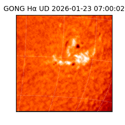 gong - 2026-01-23T07:00:02