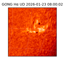gong - 2026-01-23T08:00:02