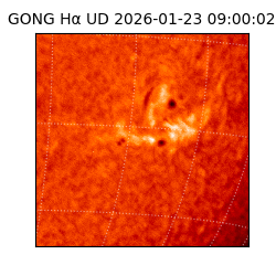 gong - 2026-01-23T09:00:02