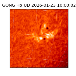 gong - 2026-01-23T10:00:02
