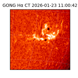 gong - 2026-01-23T11:00:42