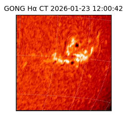 gong - 2026-01-23T12:00:42