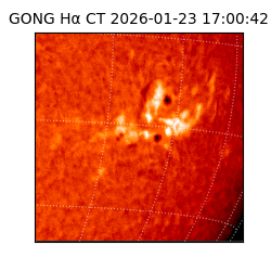 gong - 2026-01-23T17:00:42