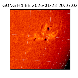 gong - 2026-01-23T20:07:02