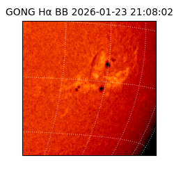 gong - 2026-01-23T21:08:02