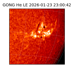 gong - 2026-01-23T23:00:42