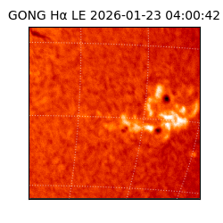 gong - 2026-01-23T04:00:42