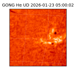 gong - 2026-01-23T05:00:02