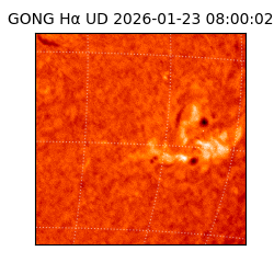 gong - 2026-01-23T08:00:02