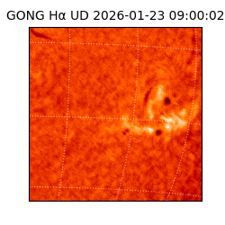 gong - 2026-01-23T09:00:02