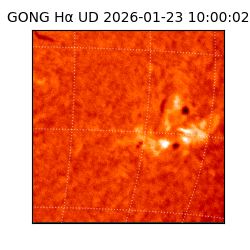 gong - 2026-01-23T10:00:02