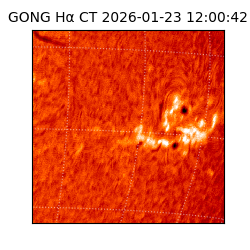 gong - 2026-01-23T12:00:42