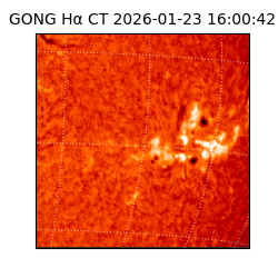 gong - 2026-01-23T16:00:42