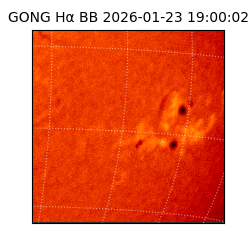 gong - 2026-01-23T19:00:02