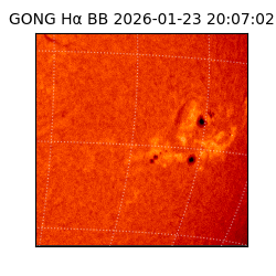 gong - 2026-01-23T20:07:02