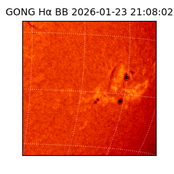 gong - 2026-01-23T21:08:02