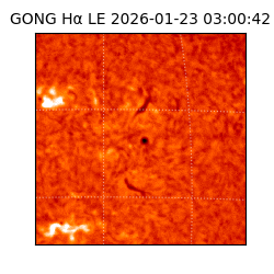 gong - 2026-01-23T03:00:42