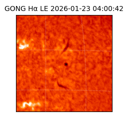 gong - 2026-01-23T04:00:42