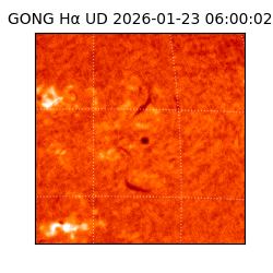 gong - 2026-01-23T06:00:02