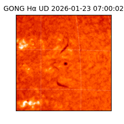 gong - 2026-01-23T07:00:02